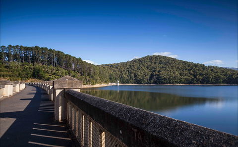 Maroondah Reservoir Park - Great Ocean Road Tourism 0