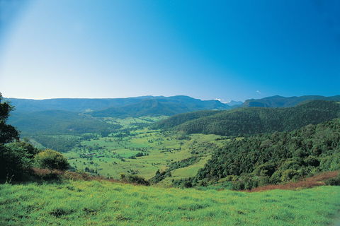 Numinbah Section, Springbrook National Park - Great Ocean Road Tourism 0