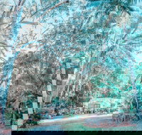 Phillips Gallery - Great Ocean Road Tourism