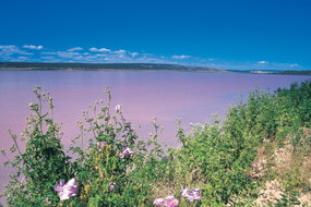 Book Gregory WA Attractions Great Ocean Road Tourism Great Ocean Road Tourism