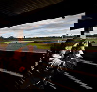 Reed Beds Bird Hide Boardwalk - Great Ocean Road Tourism