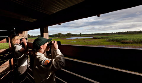 Reed Beds Bird Hide Boardwalk - Great Ocean Road Tourism 0