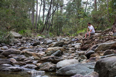 Rocksberg Park Heritage Reserve - Great Ocean Road Tourism 0