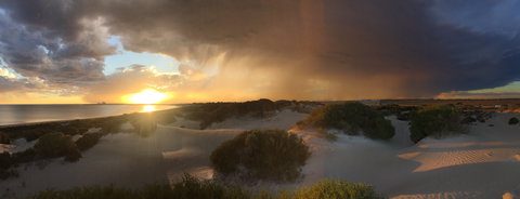 Shelly Beach Dune Walk Trail - Great Ocean Road Tourism 2