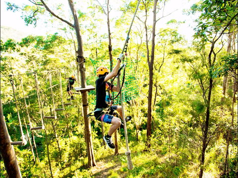TreeTop Challenge - Great Ocean Road Tourism 1