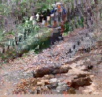 Turner Hill Mountain Bike Trail Murray - Great Ocean Road Tourism