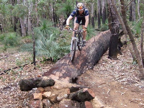 Turner Hill Mountain Bike Trail, Murray - Great Ocean Road Tourism 0