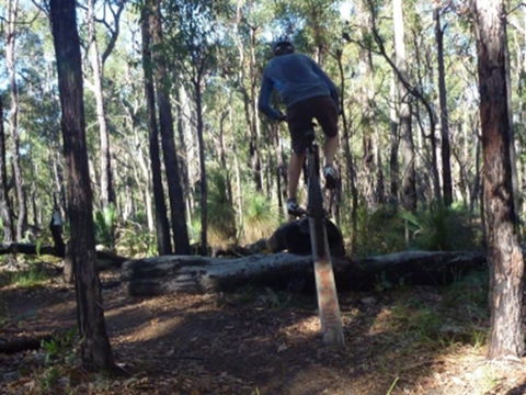 Turner Hill Mountain Bike Trail, Murray - Great Ocean Road Tourism 1