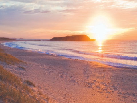 Warilla Beach: Shellharbour - Great Ocean Road Tourism 0