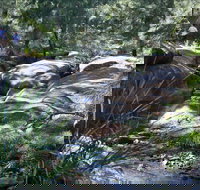 Washpools waterhole - Great Ocean Road Tourism