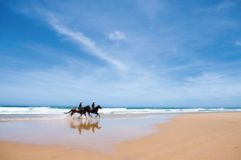 Worimi National Park - Great Ocean Road Tourism 2