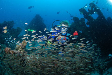 Aarhus Dive Site - Great Ocean Road Tourism 0