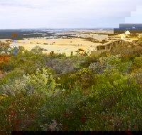 Archer Drive Scenic Drive and Lookout - Great Ocean Road Tourism