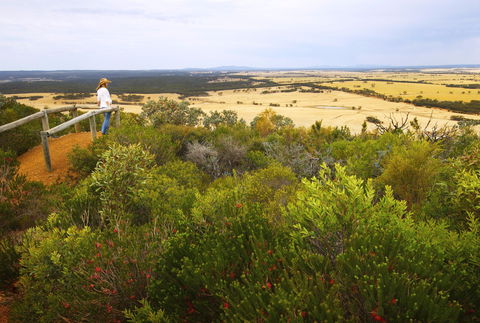 Archer Drive Scenic Drive And Lookout - Great Ocean Road Tourism 0
