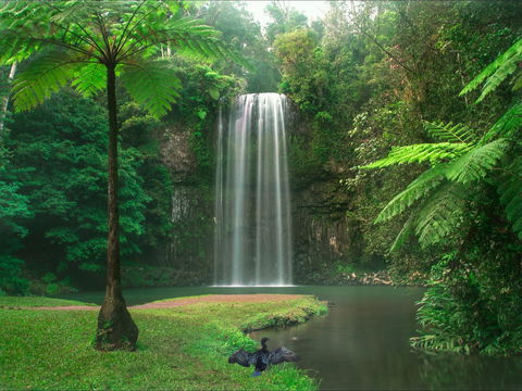 Atherton Tablelands - Great Ocean Road Tourism 0