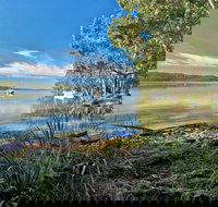 Black Oaks Picnic Area - Great Ocean Road Tourism