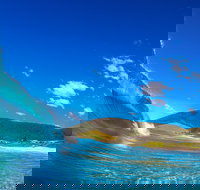 Blueys Beach Pacific Palms - Great Ocean Road Tourism