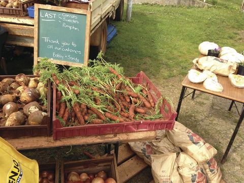 Burnie Farmers Market - Great Ocean Road Tourism 0