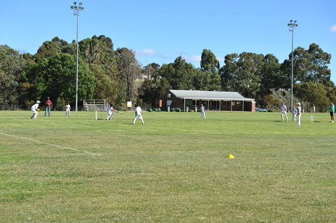 Coddington Park And Roberts Park - Great Ocean Road Tourism 0