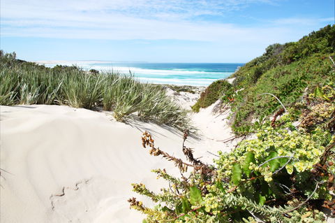 Coffin Bay National Park - Great Ocean Road Tourism 1