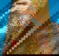 Deniliquin Water Tower Mural - Great Ocean Road Tourism