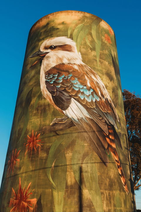Deniliquin Water Tower Mural - Great Ocean Road Tourism 0