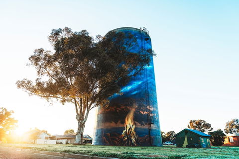 Deniliquin Water Tower Mural - Great Ocean Road Tourism 1