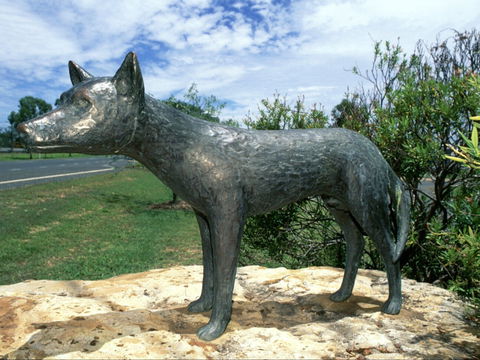 Dingo Statue - Great Ocean Road Tourism 0