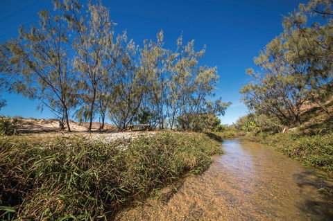 Freshwater Creek Track, Byfield National Park - Great Ocean Road Tourism 0