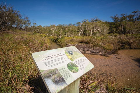 Freshwater Creek Track, Byfield National Park - Great Ocean Road Tourism 1