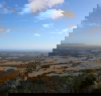 Heaton State Forest - Watagan Mountains - Great Ocean Road Tourism