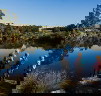 Kalgan River - Great Ocean Road Tourism