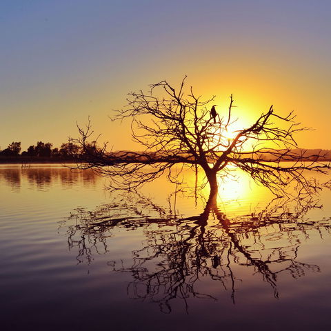 Lake Dyer - Great Ocean Road Tourism 0