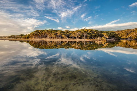 Lashmar Conservation Park - Great Ocean Road Tourism 0