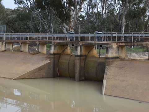 Lawson Syphon - Great Ocean Road Tourism 0