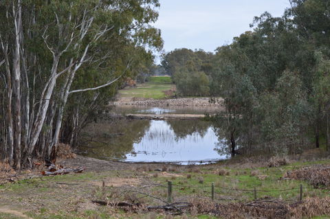 Lawson Syphon - Great Ocean Road Tourism 1