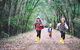 Margaret River Rails Trail - thumb 0