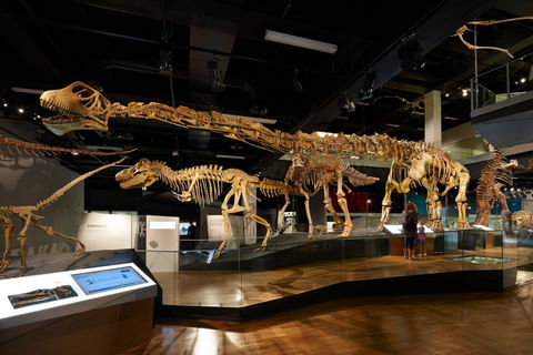 Melbourne Museum - Great Ocean Road Tourism 1