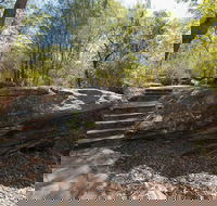 Mooney Mooney nature walk - Great Ocean Road Tourism