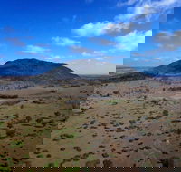 Mount Ramsay and Baralaba Loop - Great Ocean Road Tourism