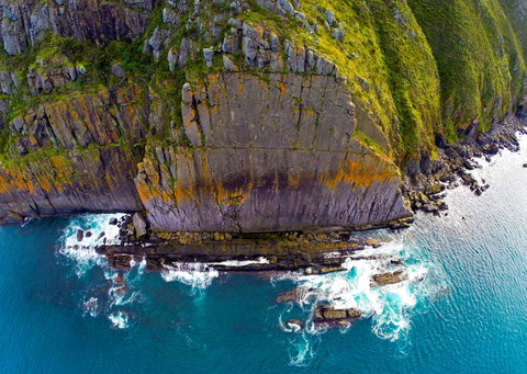 Newland Head Conservation Park - Great Ocean Road Tourism 0