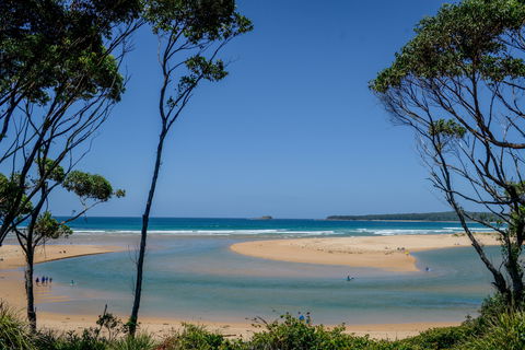 North Durras Beach - Great Ocean Road Tourism 1