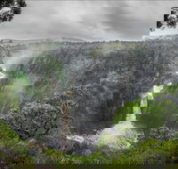 Oxley Wild Rivers National Park - Great Ocean Road Tourism