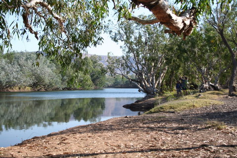 Silent Grove - Great Ocean Road Tourism 0