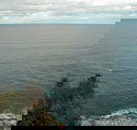 Snapper Point Lookout - Great Ocean Road Tourism