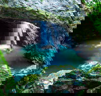 Springbrook - Great Ocean Road Tourism