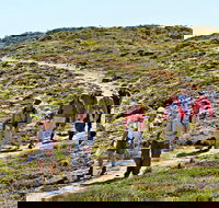 The Sole Walk at Hillocks Drive - Great Ocean Road Tourism