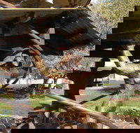 Walcha Open Air Gallery - Great Ocean Road Tourism