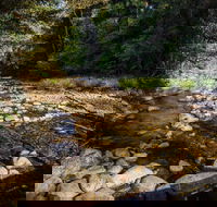 Wilson River picnic area - Great Ocean Road Tourism