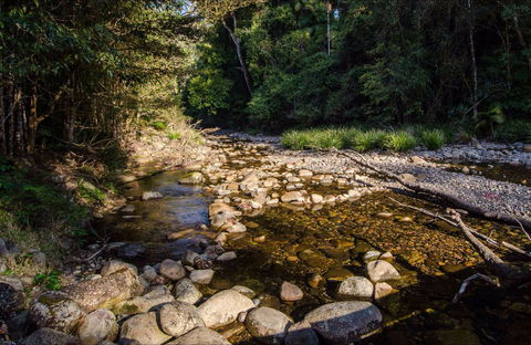 Wilson River Picnic Area - Great Ocean Road Tourism 0
